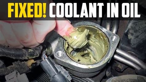 internal coolant leak symptoms|Common Causes Of Coolant Leaks 